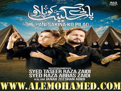 Raza Abbas Zaidi