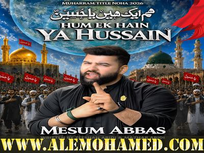Mesum Abbas