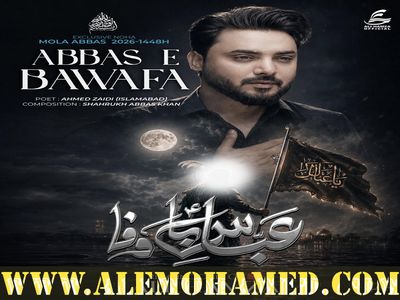 Ali Hamza